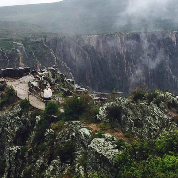 Meet your Posher, Purevjav - Picture 1 of 1